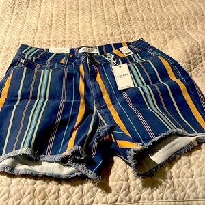 Judy Blue striped denim shorts
